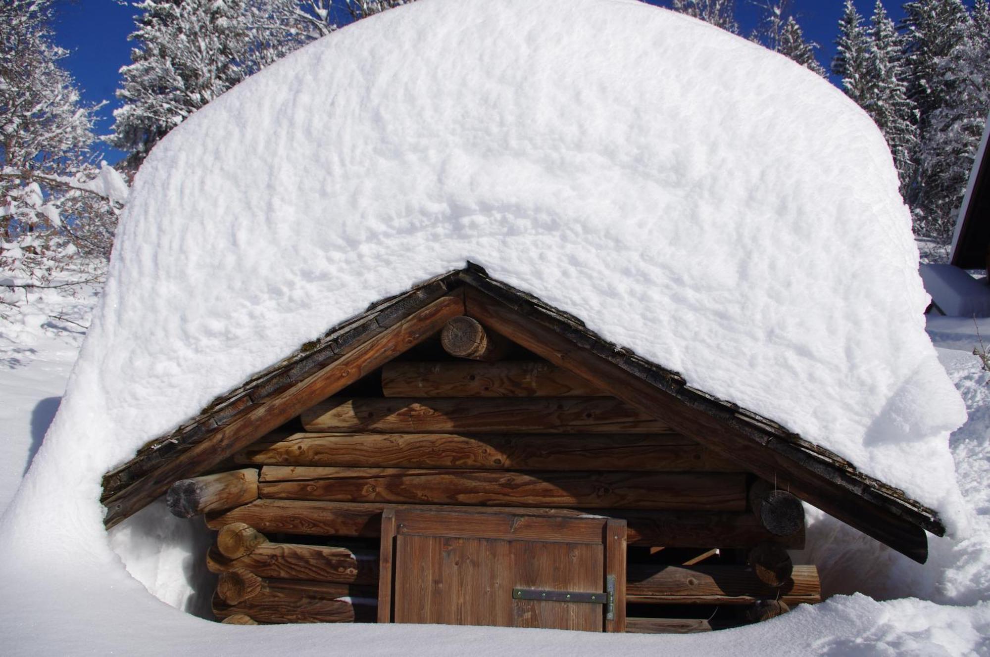 Hotel Burtschahof Bürserberg Exterior foto